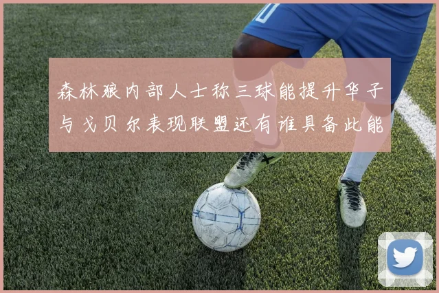 森林狼内部人士称三球能提升华子与戈贝尔表现联盟还有谁具备此能力